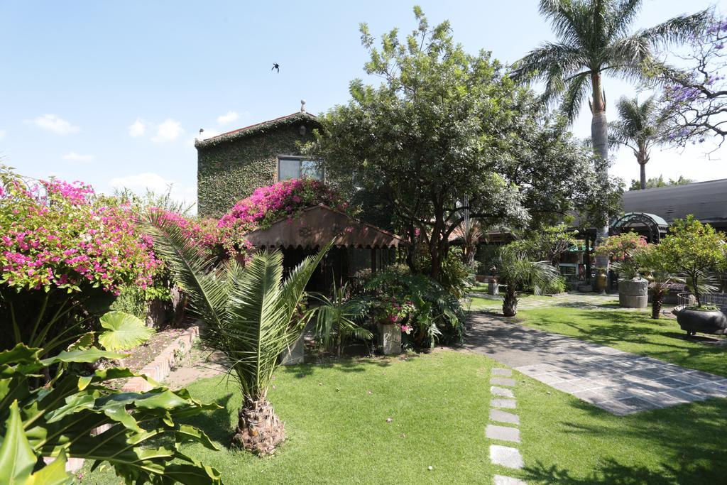 Las Calandrias Hotel Атлиско Стая снимка