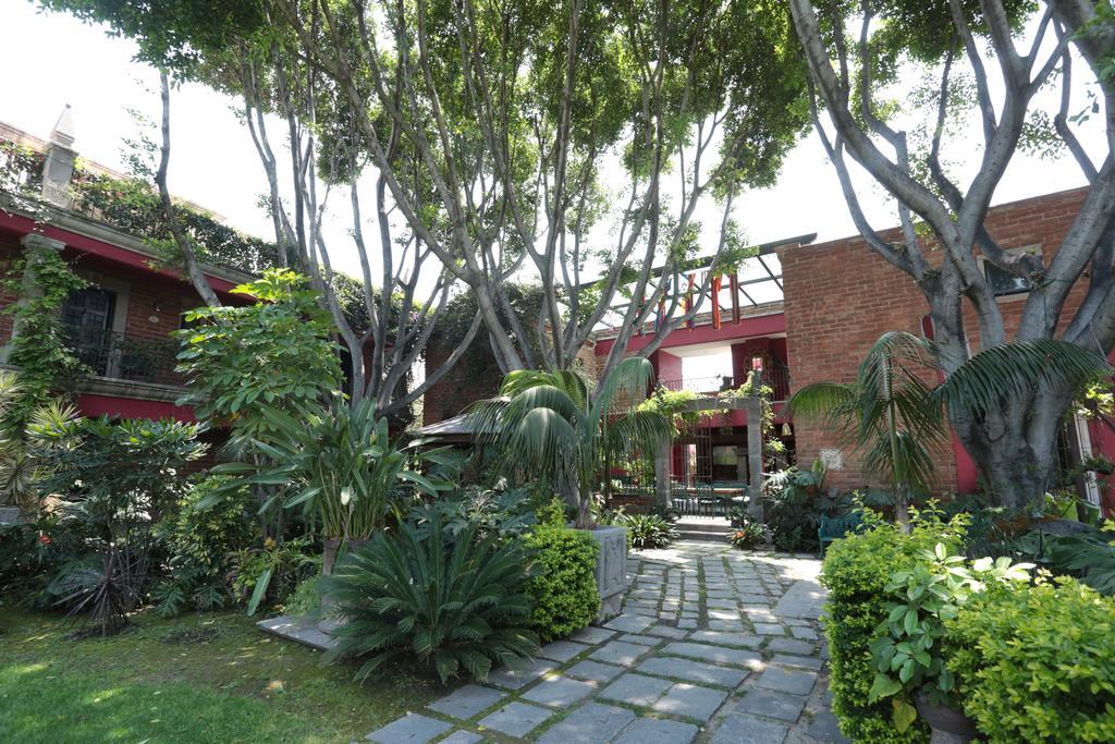 Las Calandrias Hotel Атлиско Стая снимка