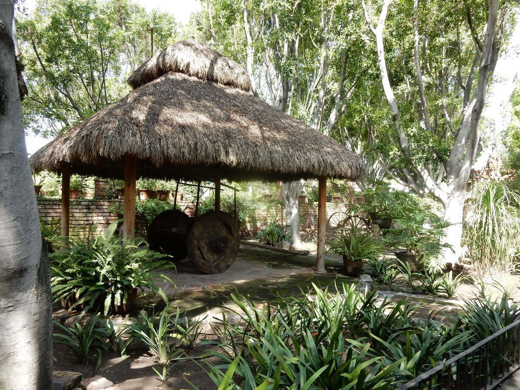 Las Calandrias Hotel Атлиско Екстериор снимка