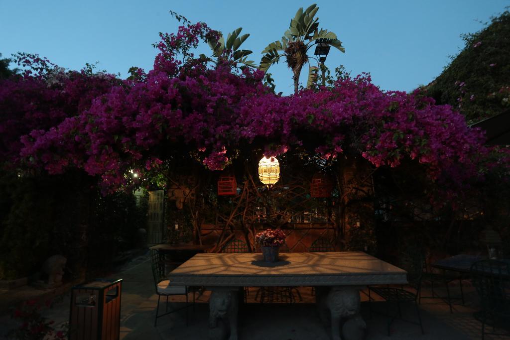 Las Calandrias Hotel Атлиско Екстериор снимка
